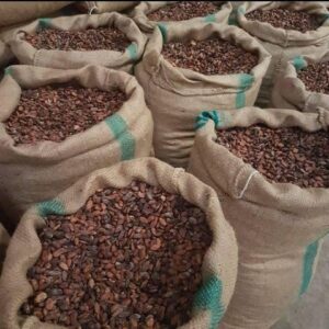 Cocoa Beans - 1kg